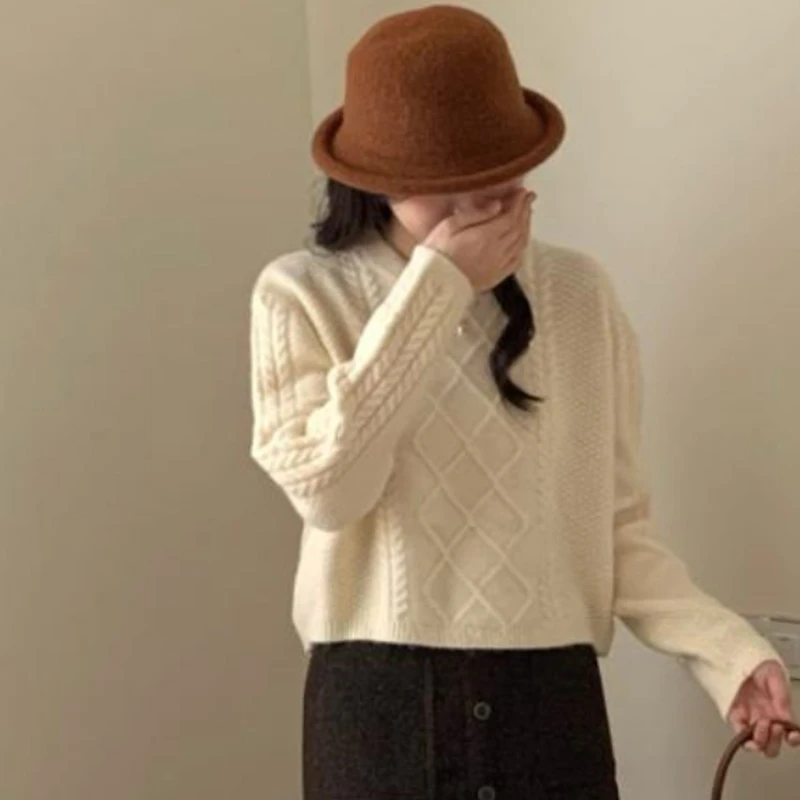 小个子定制2024春秋内搭针织衫女显瘦高腰时尚百搭复古外穿毛衣