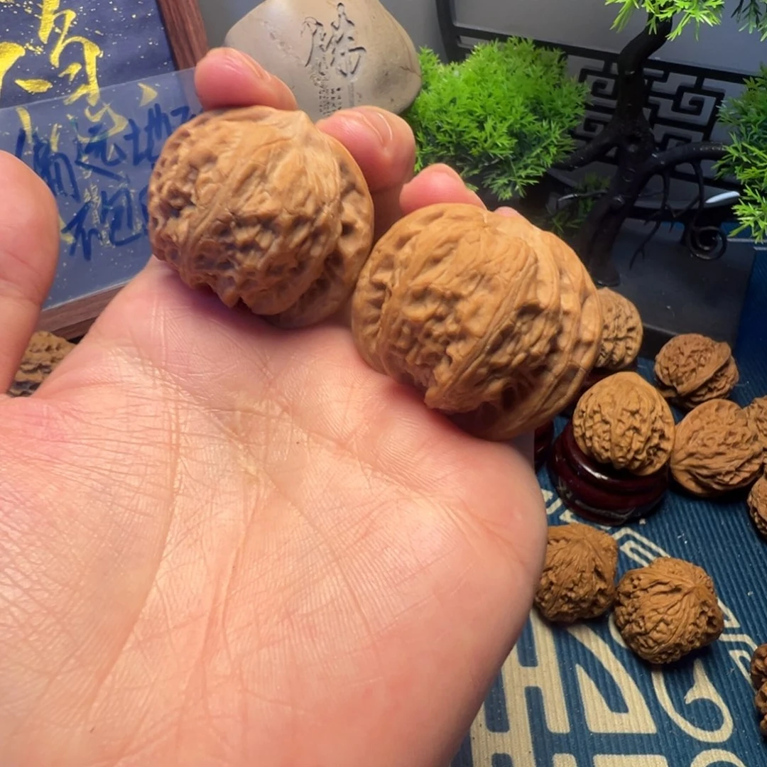 39尺白茬龙胆元宝