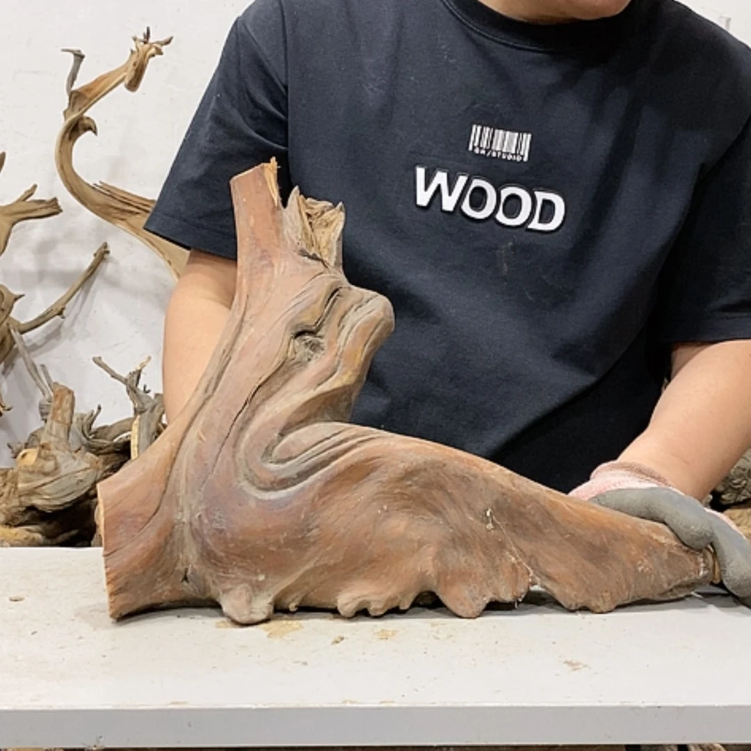 【闪购商品】柏木木***者我们都是好孩子