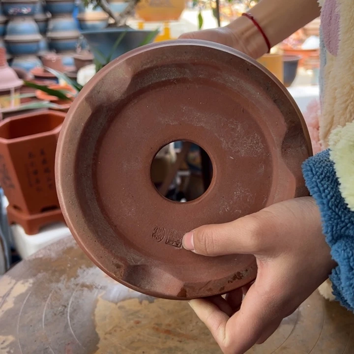 紫砂宜兴紫砂黄色舍得大号