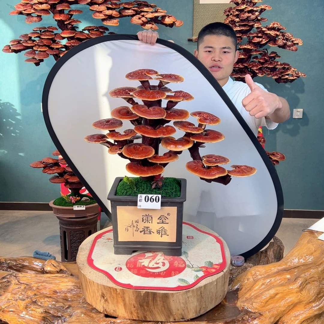 无花朵888888888888