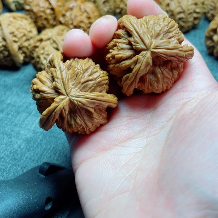 沉***狼手工三棱白狮子三棱