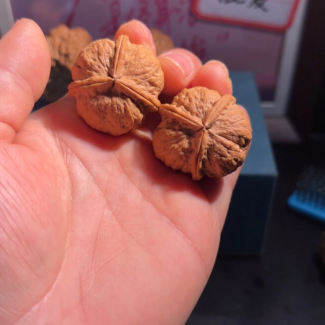 随***～桃木33云铁蛤蟆三棱