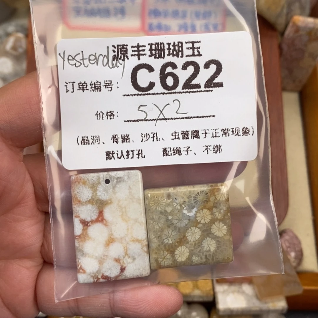 硅化玉颈饰未镶嵌y****y