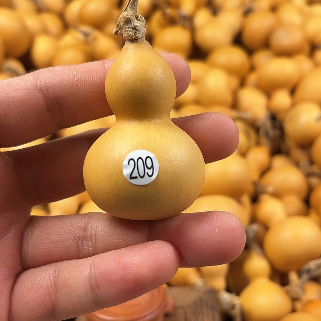 一葫芦葫芦葫芦葫芦209