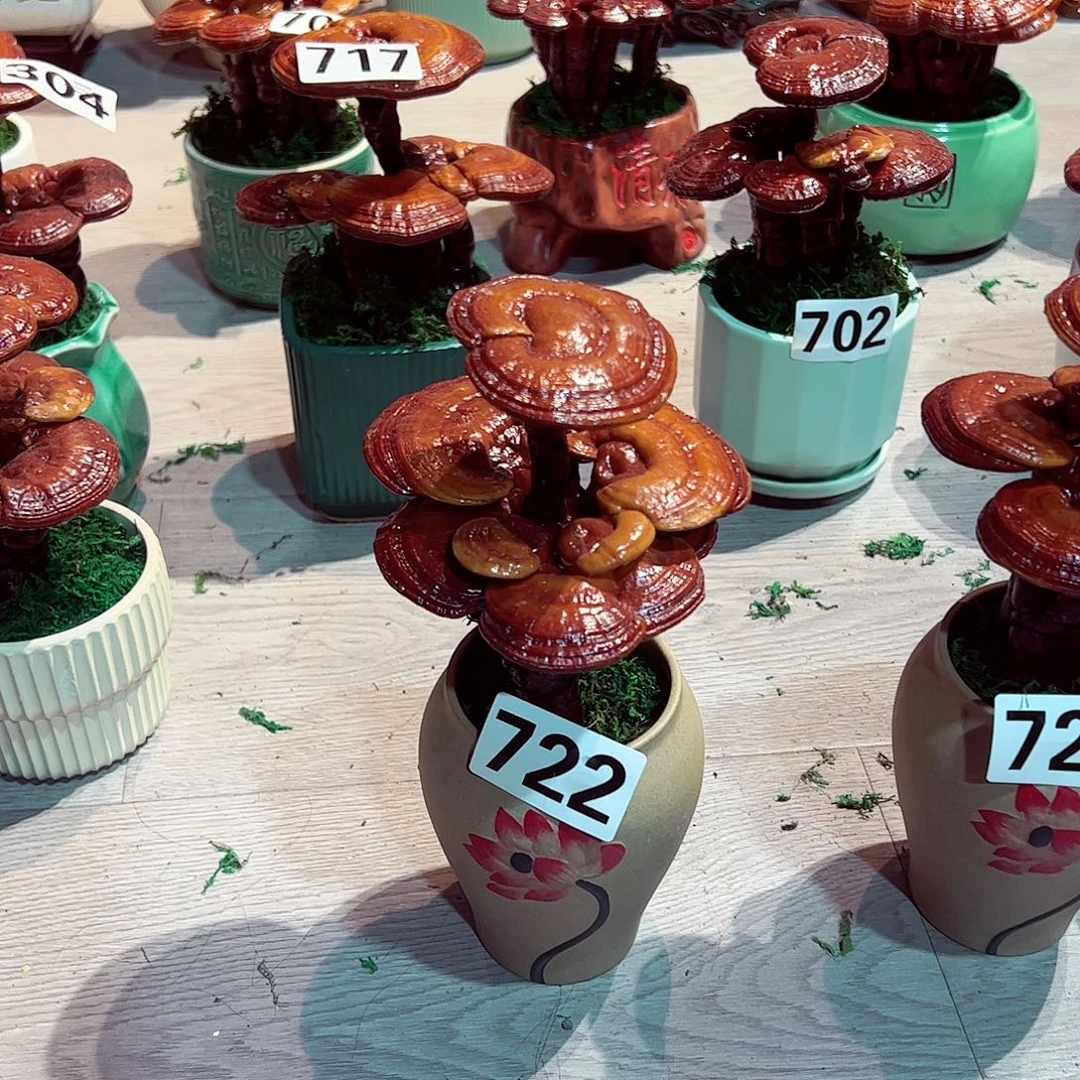 完全开放88888888