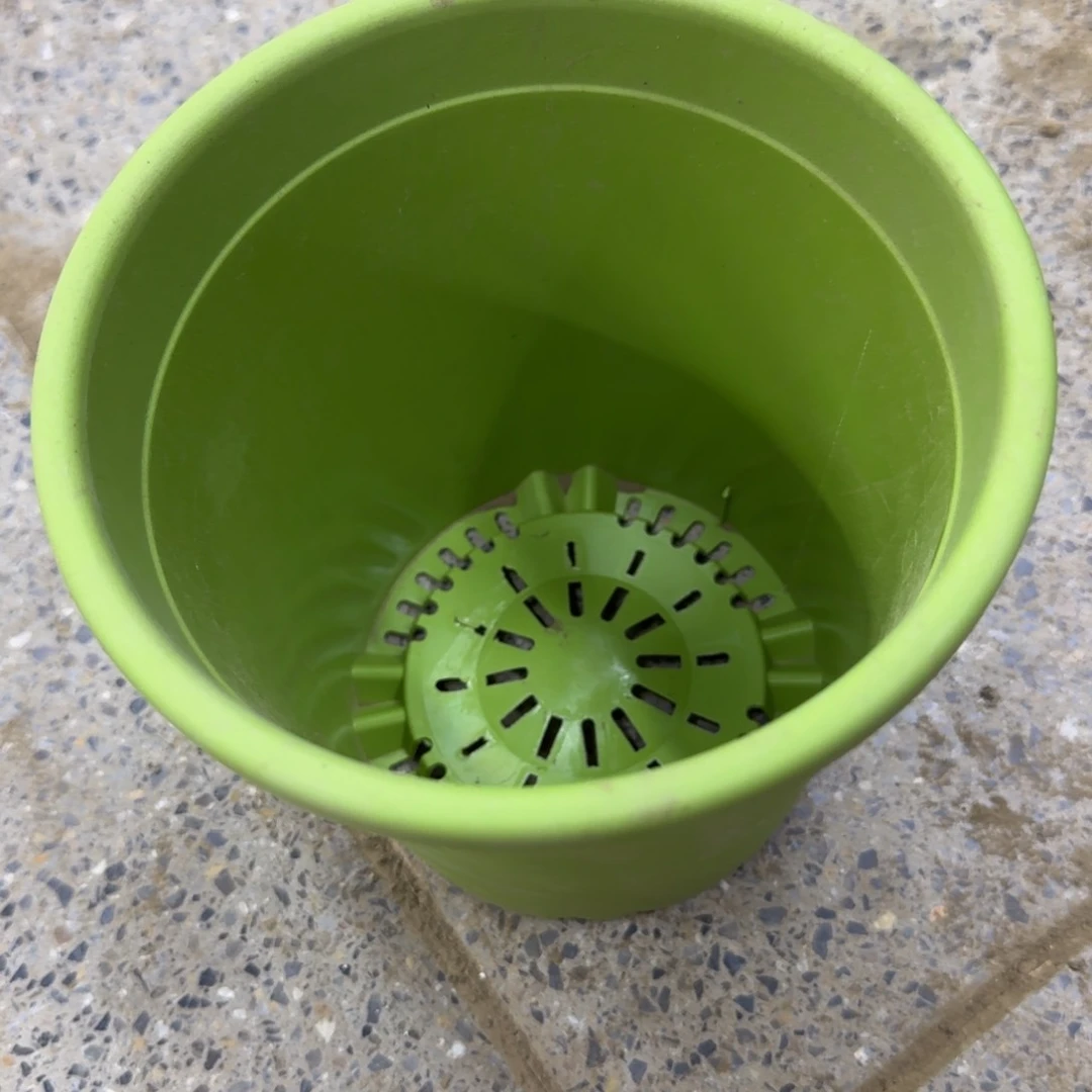 小绿盆口径15公分左右3个，20包邮