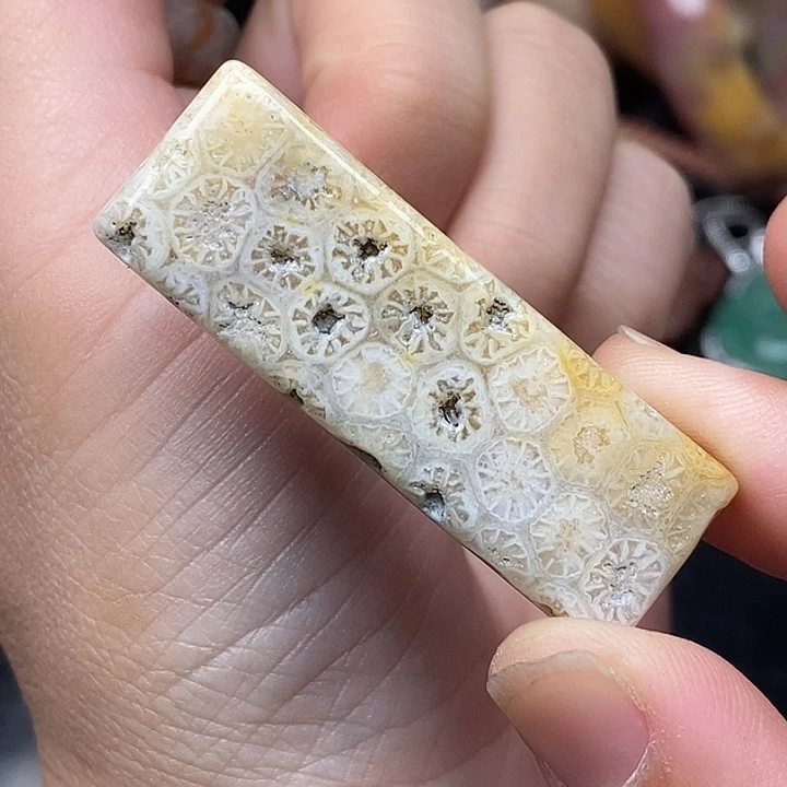 硅化玉未镶嵌颈饰