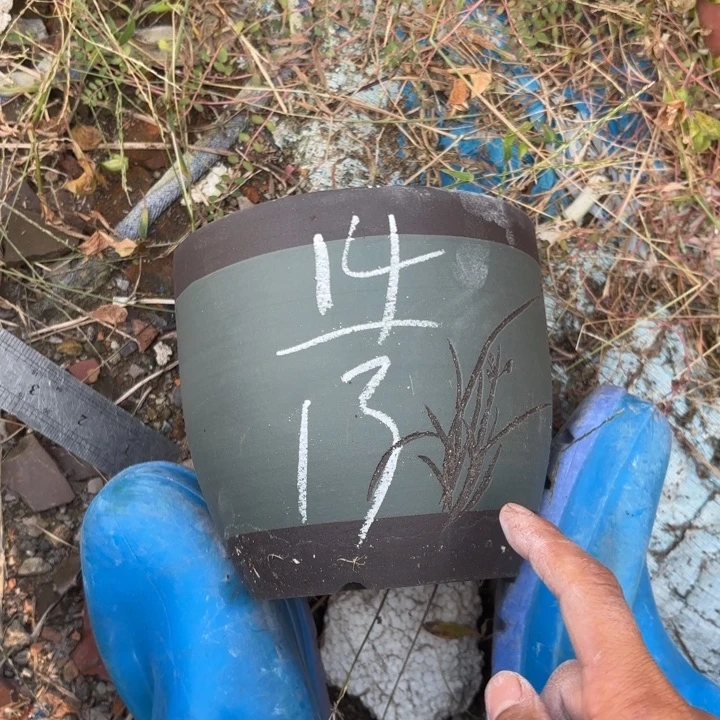 紫砂花盆紫砂的花