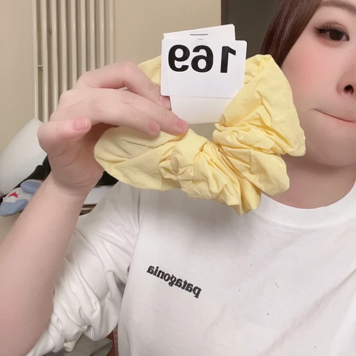 布艺非金属发圈169