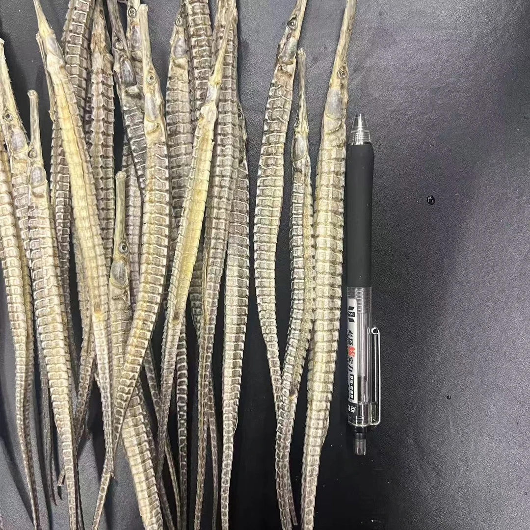 （直播）02号 大海龙干货50克