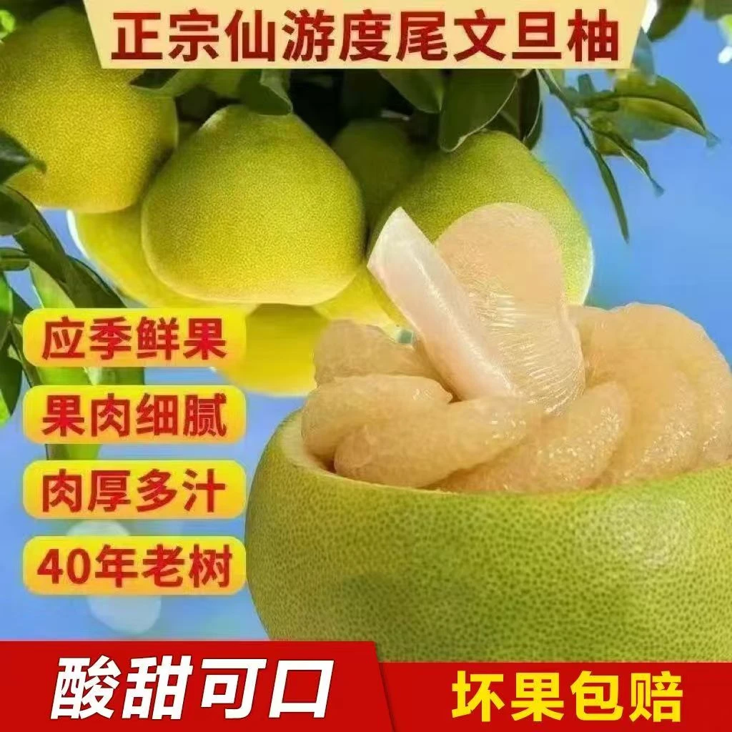 福建仙游度尾文旦柚新鲜应季红心白心酸甜多汁孕妇水果