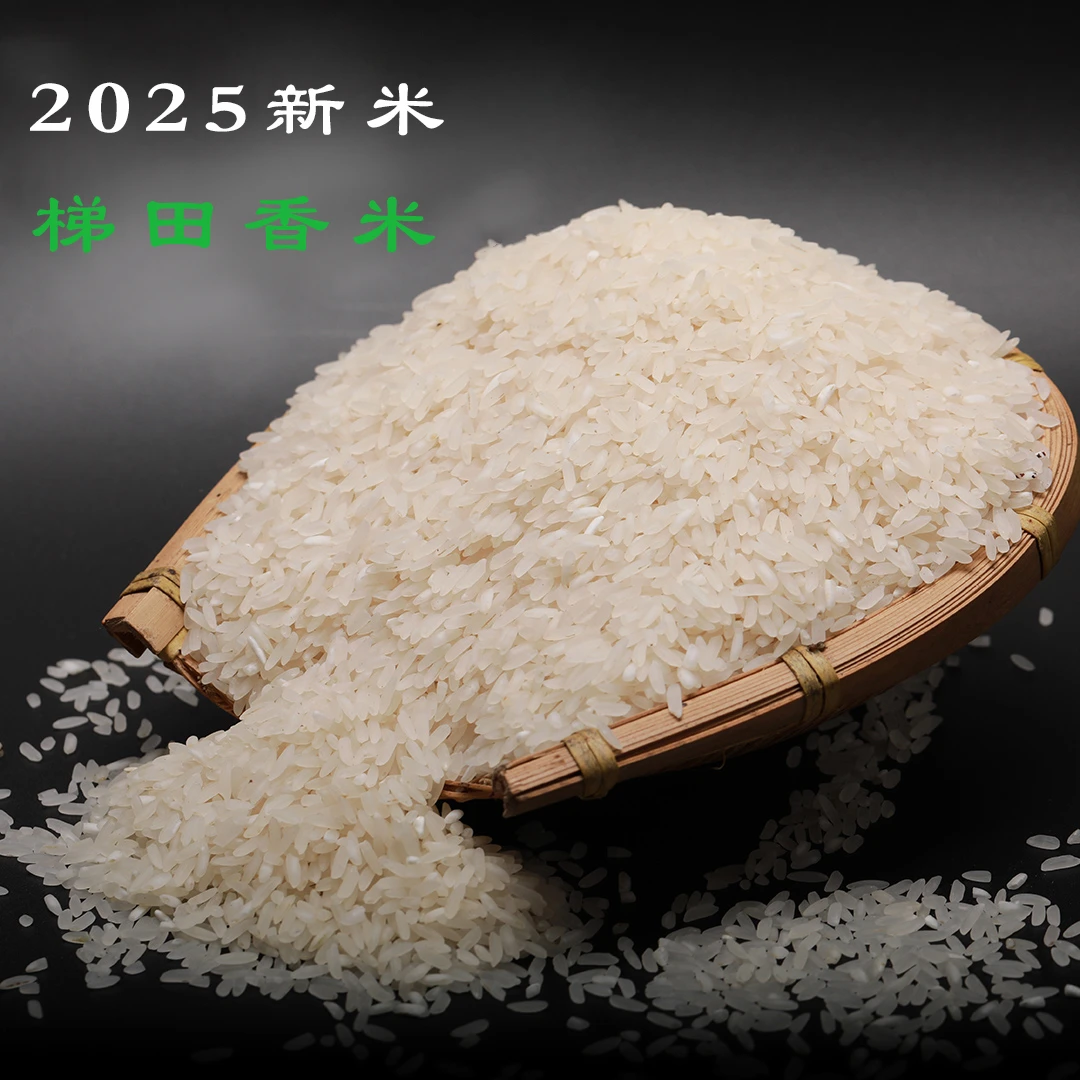 2025年贵州高山梯田香米农家梯田香米
