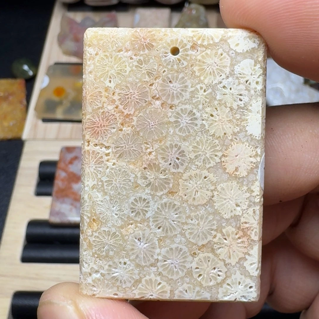 未镶嵌纯天然色有机玉石保真色硅化玉