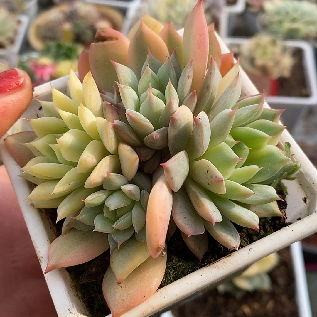 465哈哈哈哈哈哈哈哈哈