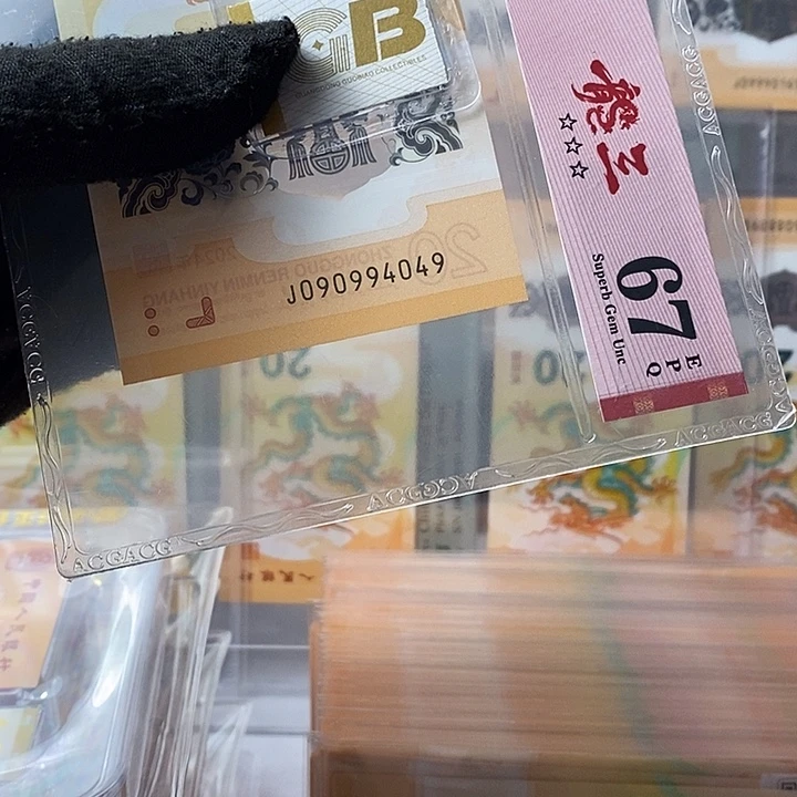 塑料24龙钞090994049龙三
