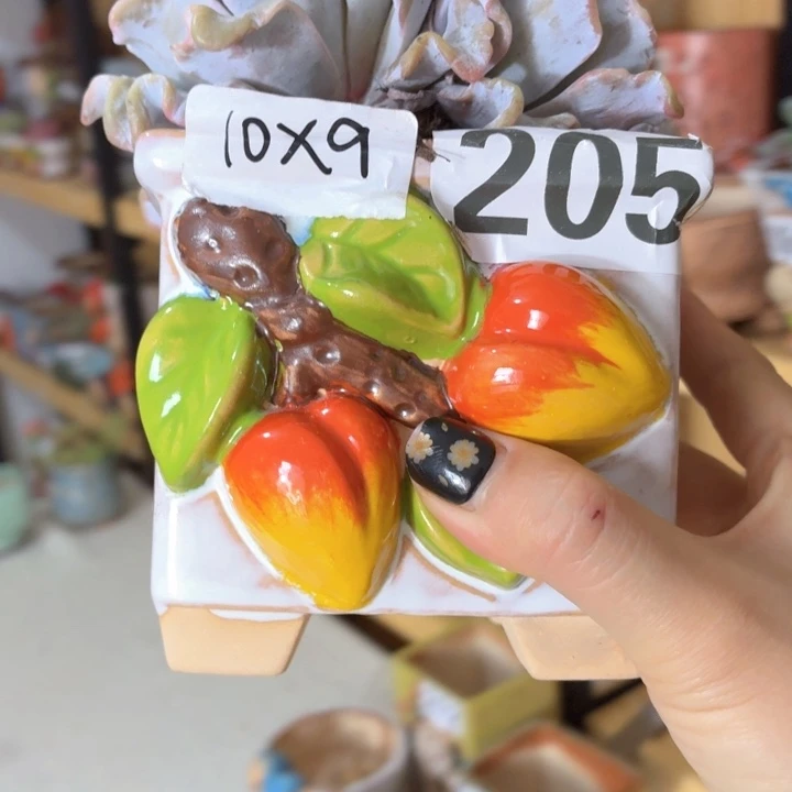 多肉花盆满15包邮