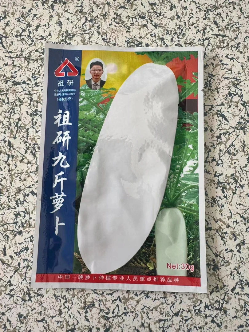 祖研晚萝卜九斤萝卜种子