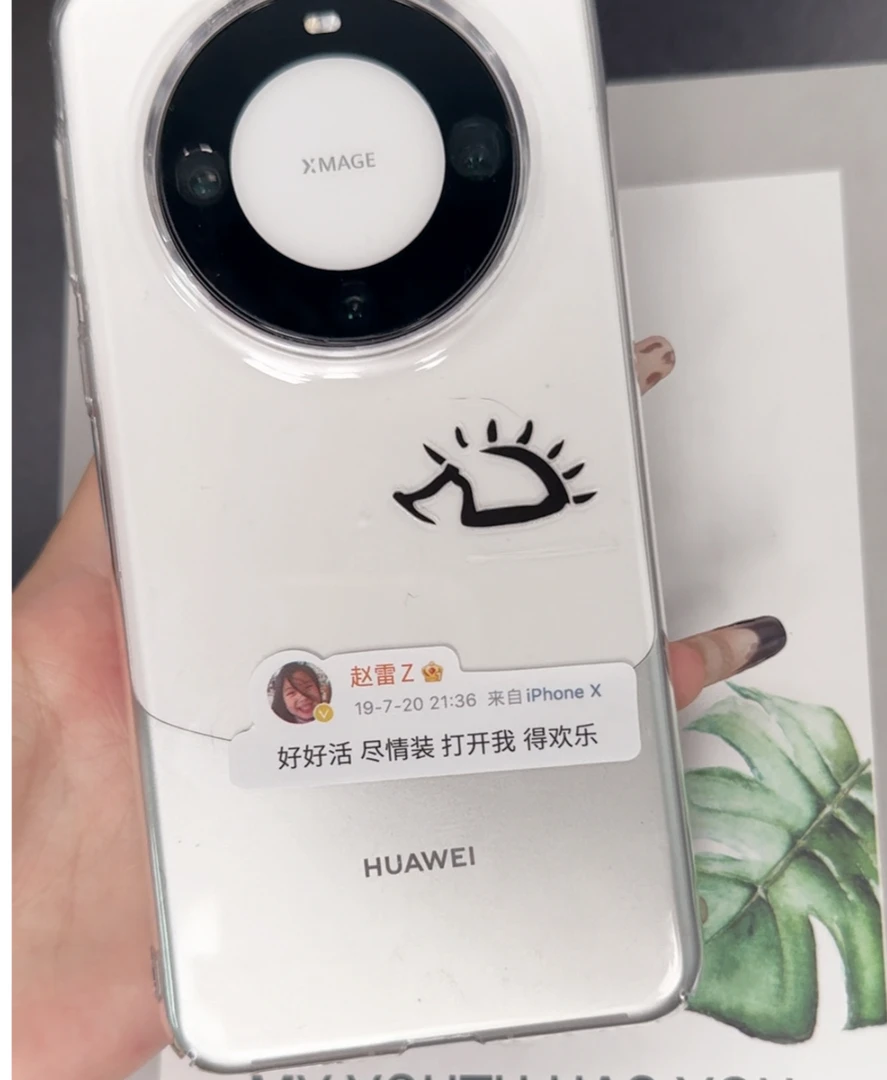 赵雷周边小刺猬手机壳贴纸没有信号演唱会物料纪念品专辑音乐节