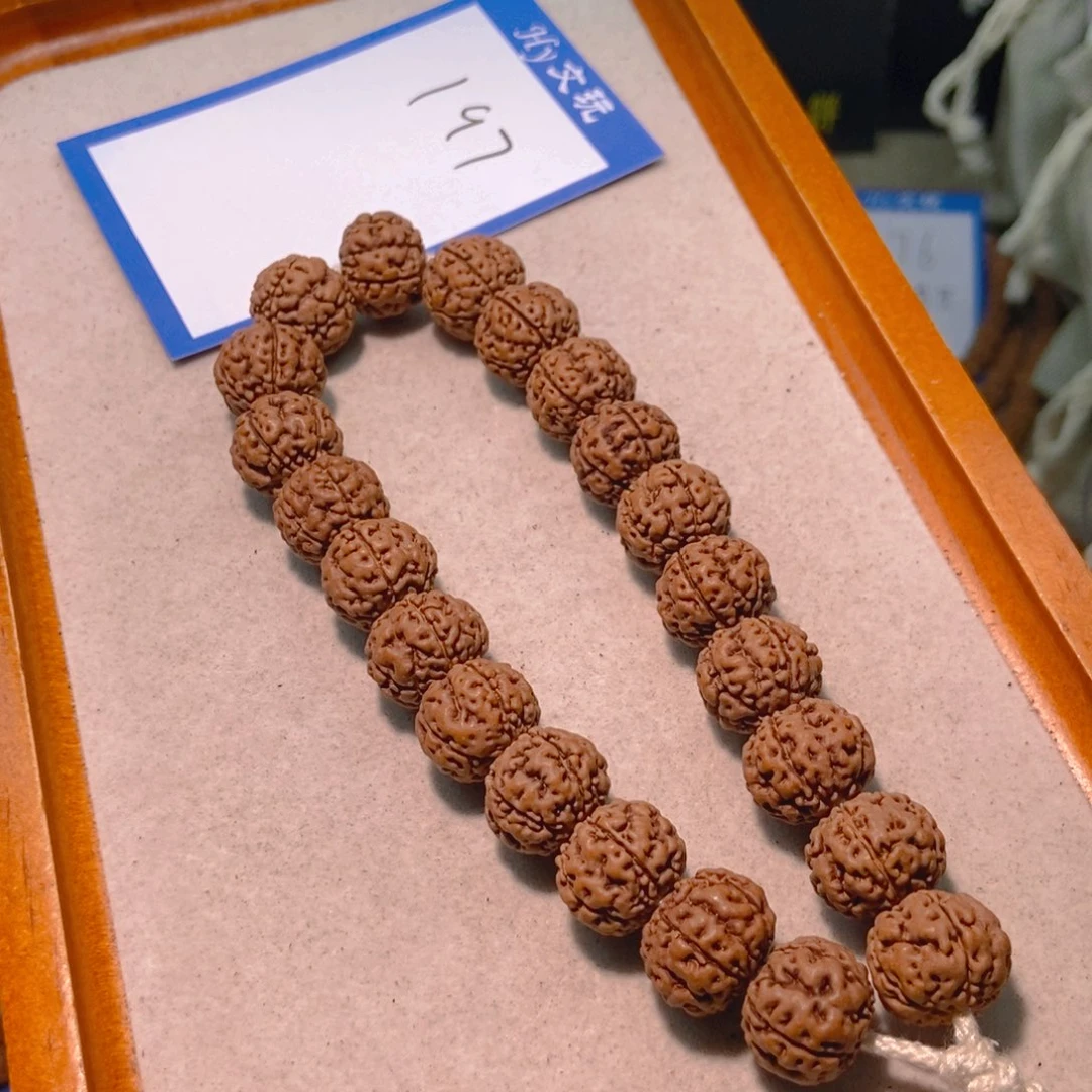 登***极手串金刚菩提197古树龙珠16