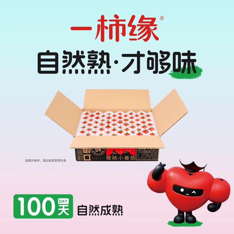一柿缘【单粒礼盒装】樱桃水果番茄产地直发自然成熟酸甜多汁顺丰