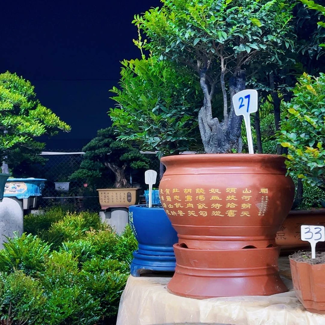 以实际为准薛**器12345678