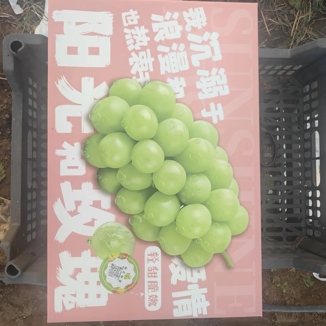 烟台阳光玫瑰晚脆香甜