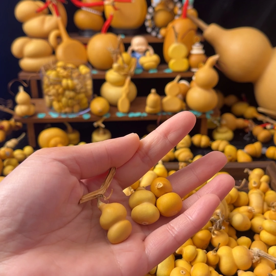 北*吹三颗小异型钱袋单品