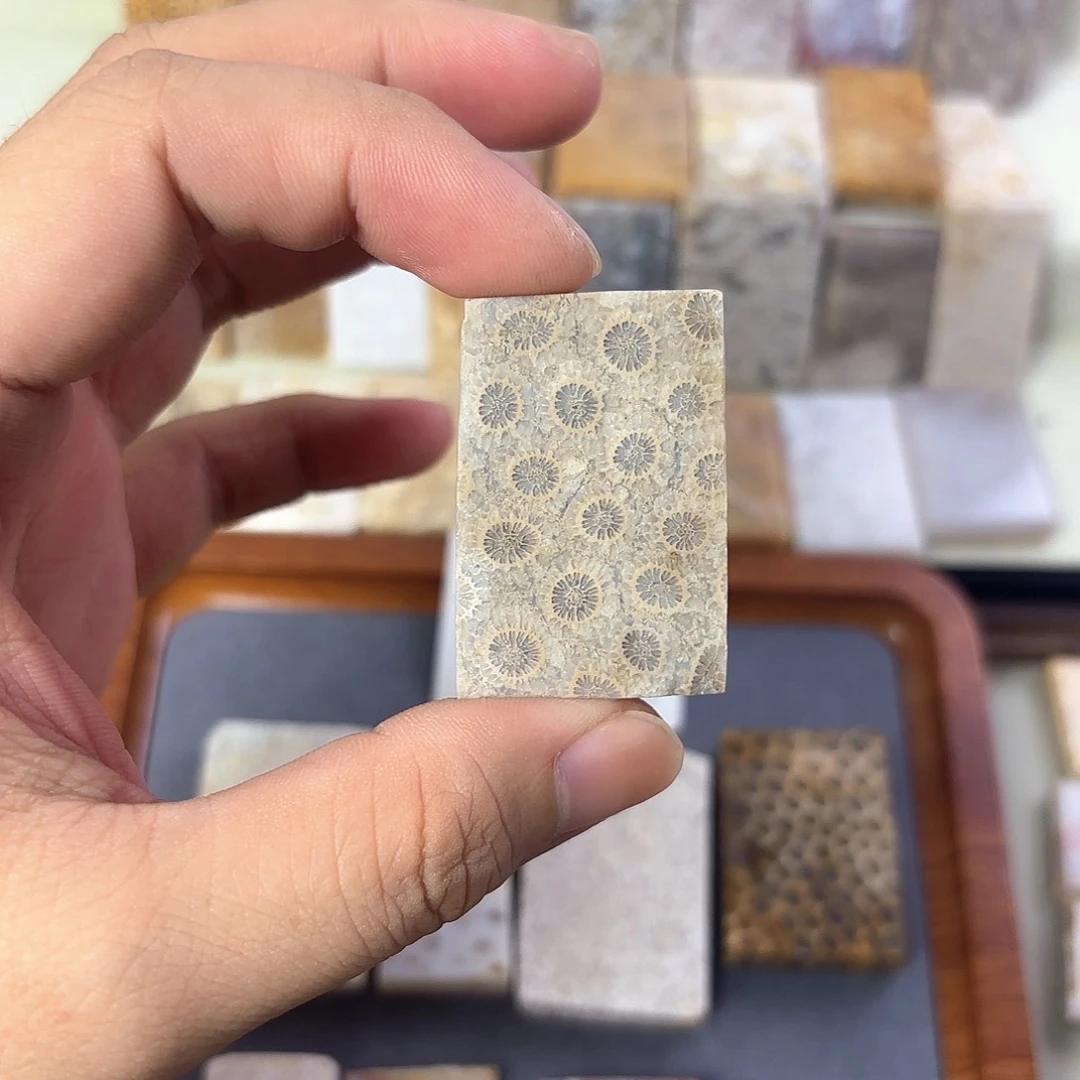 看***死硅化玉未镶嵌颈饰