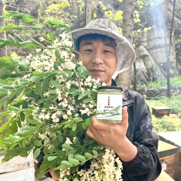 【太行山洋槐蜜】高海拔深山洋槐蜂蜜高品质优质清甜自然成熟