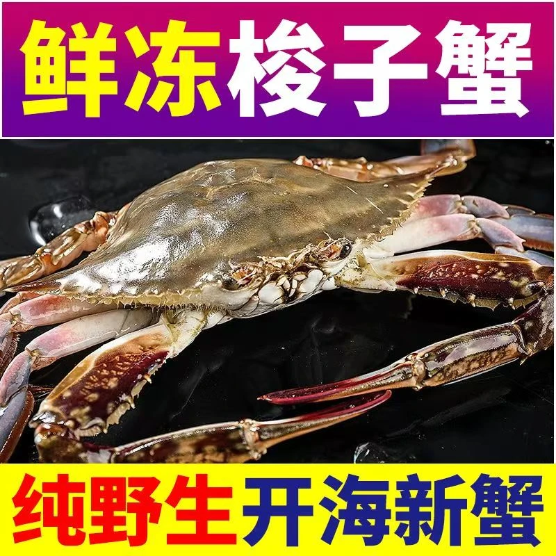 8斤装 新鲜梭子蟹东海野生海捕梭子蟹单只4-6两【冻蟹】