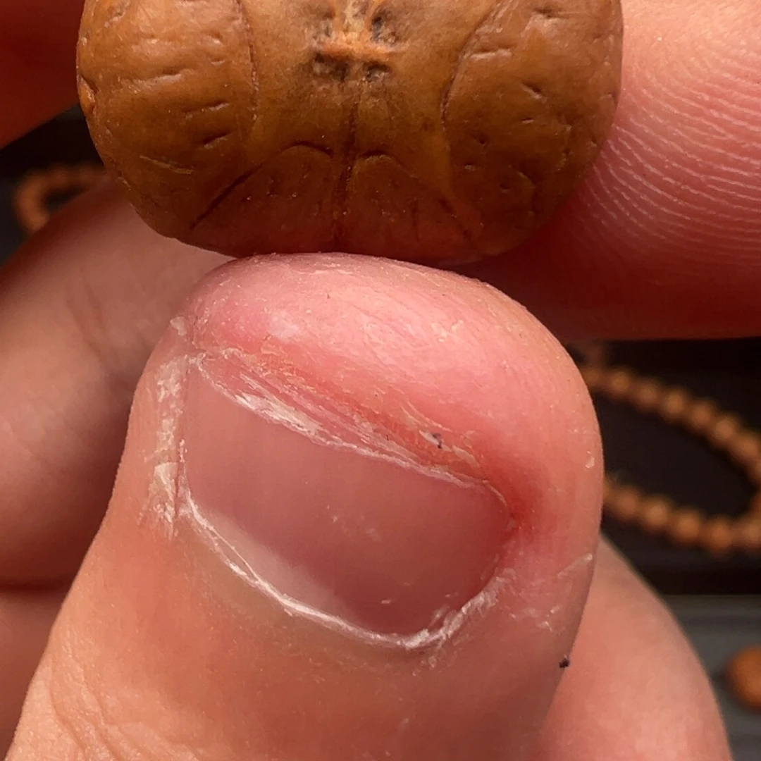阳***_凤眼菩提吊坠20尺寸六星