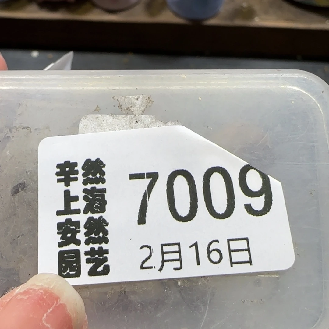 芒*2。16。7009。324饼干。菊4