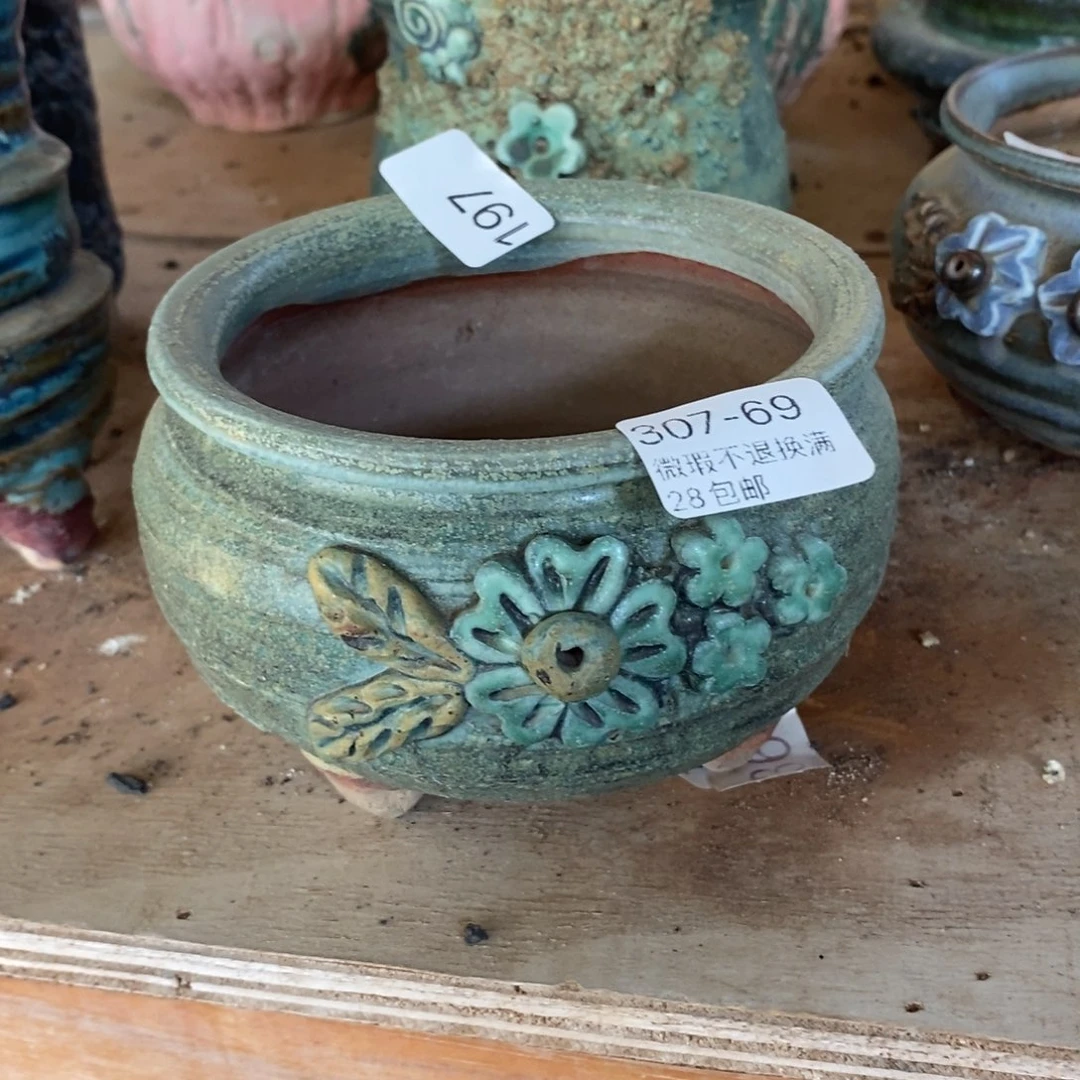 红陶往**烟69号多肉盆一个呀