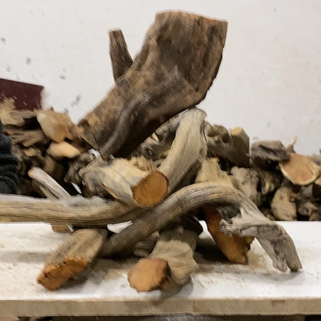 【闪购商品】柏木阳**壮我们都是好孩子