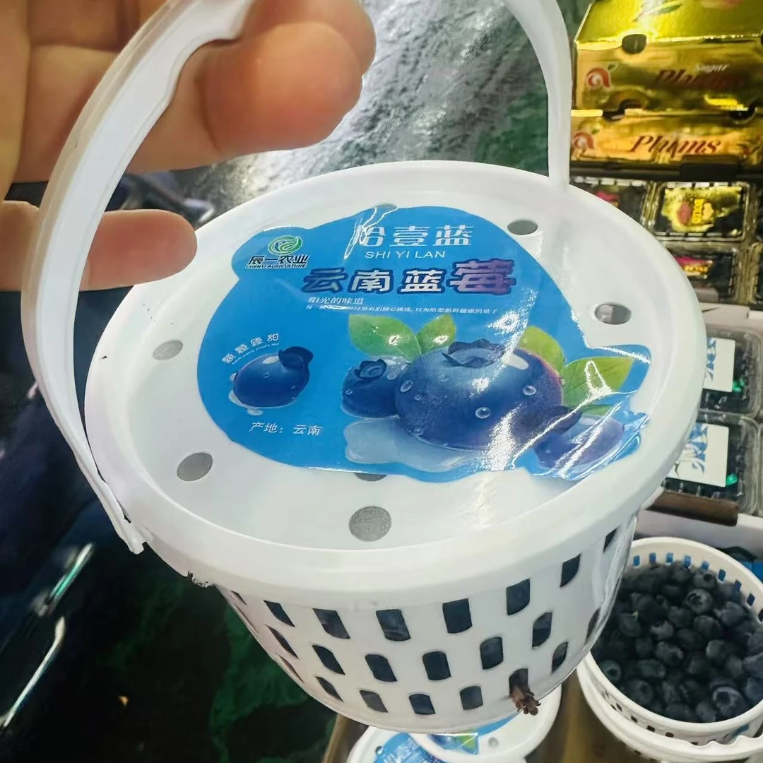 桶装蓝莓20mm1斤版书蓝莓云南省七台河市