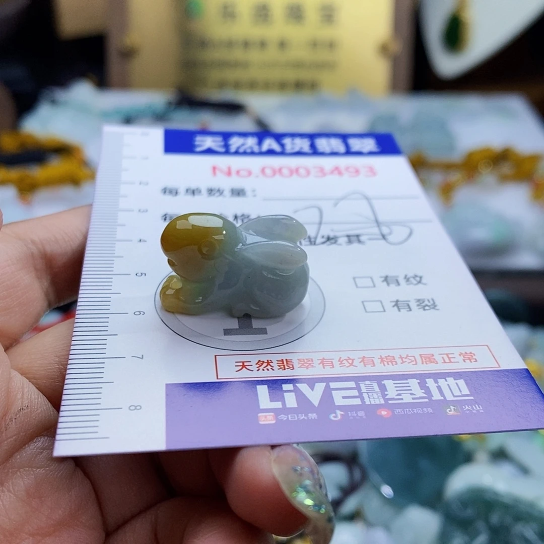 翡翠未镶嵌颈饰3493
