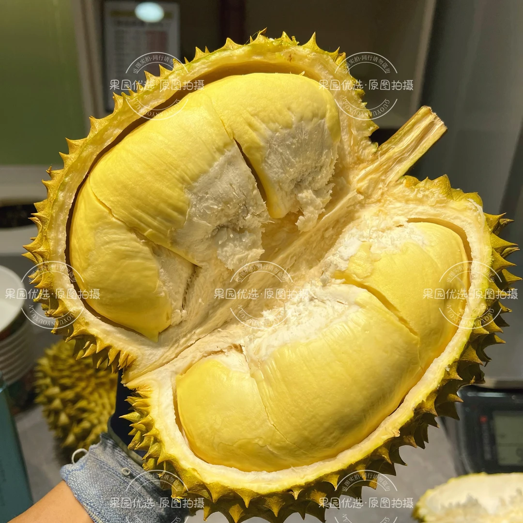 泰国树熟金枕鲜榴莲1斤-3斤果肉核小现开果肉1房-4房榴莲同城送榴莲同城送榴莲同城配金枕泰国