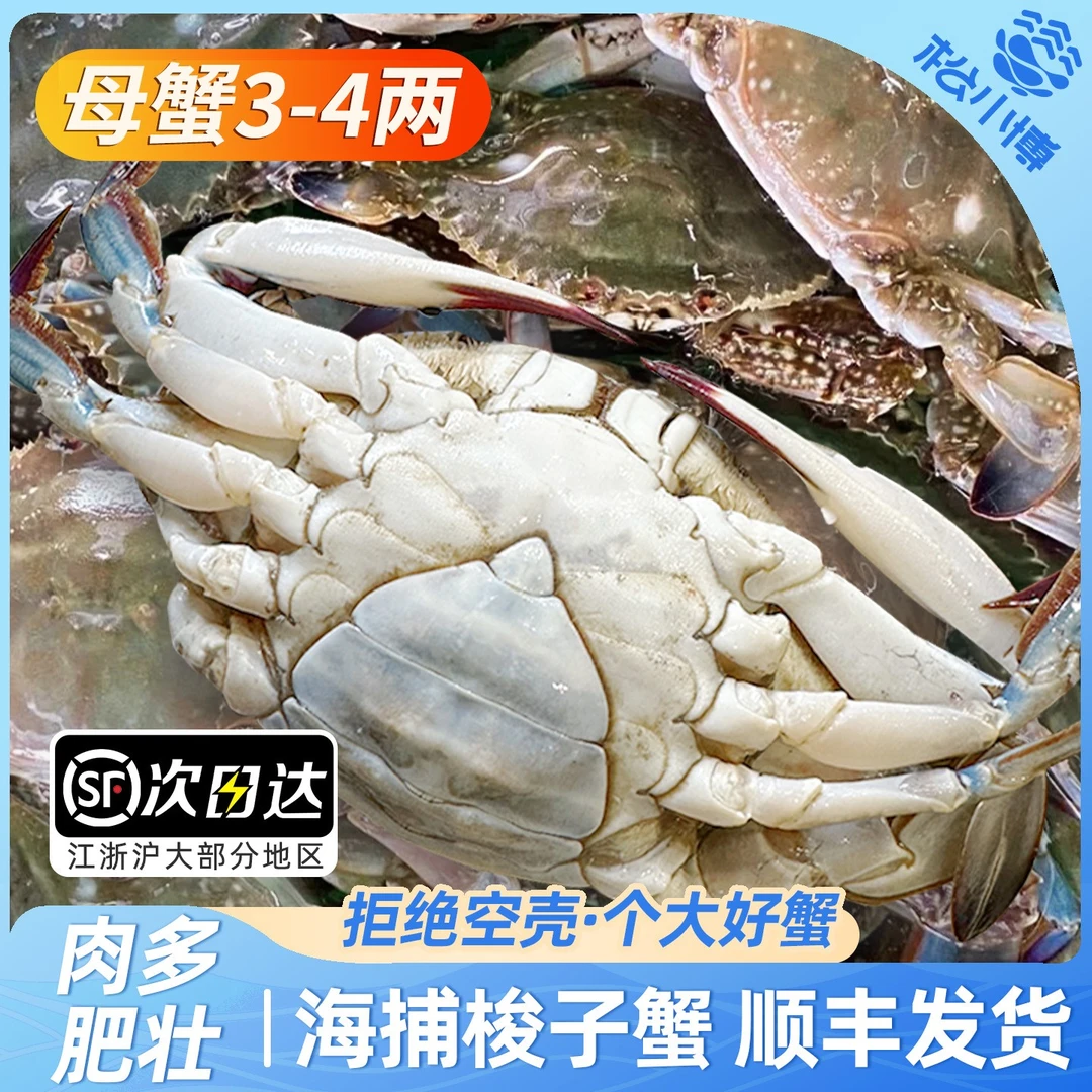N 舟山母蟹梭子蟹4两左右/只（8只3斤左右，含赠品）不可清蒸【冻蟹】