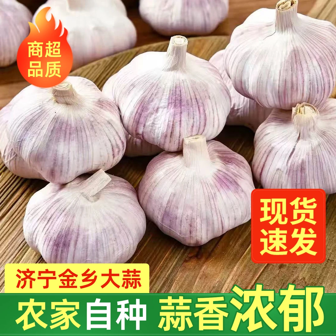 2025金乡新大蒜紫皮大蒜