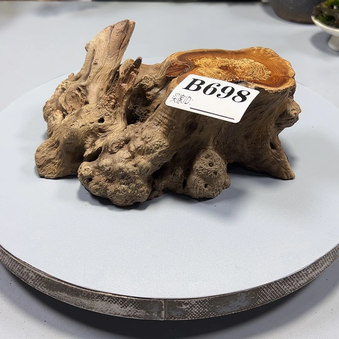 大果紫檀（缅甸花梨）j*