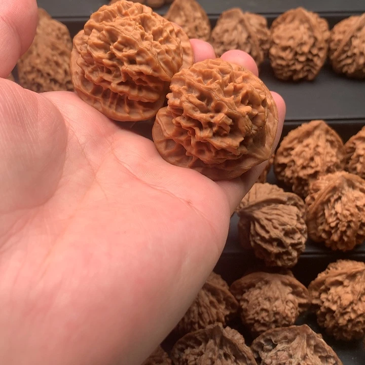 其他核桃秦岭官帽