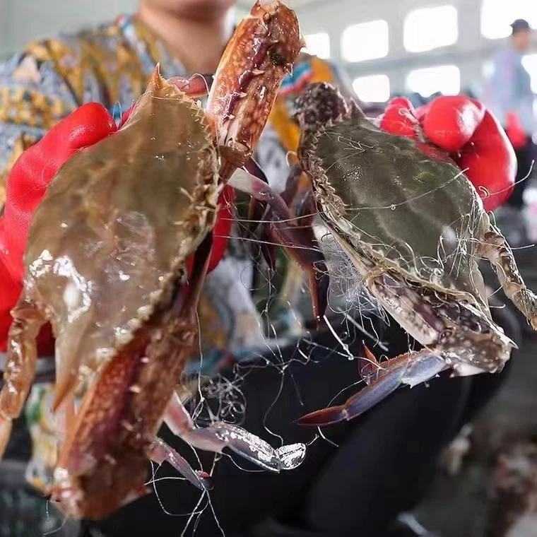 【保鲜不保活】舟山梭子蟹 约3-5两一只 三斤 有断脚现象