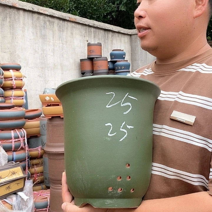 紫砂花盆盆栽观赏