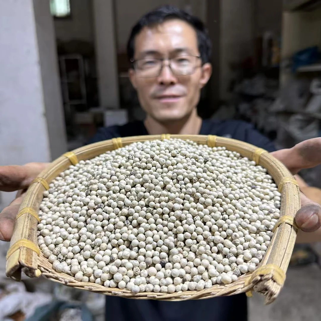 胡椒 白胡椒 海南种植白胡椒 无硫白胡椒