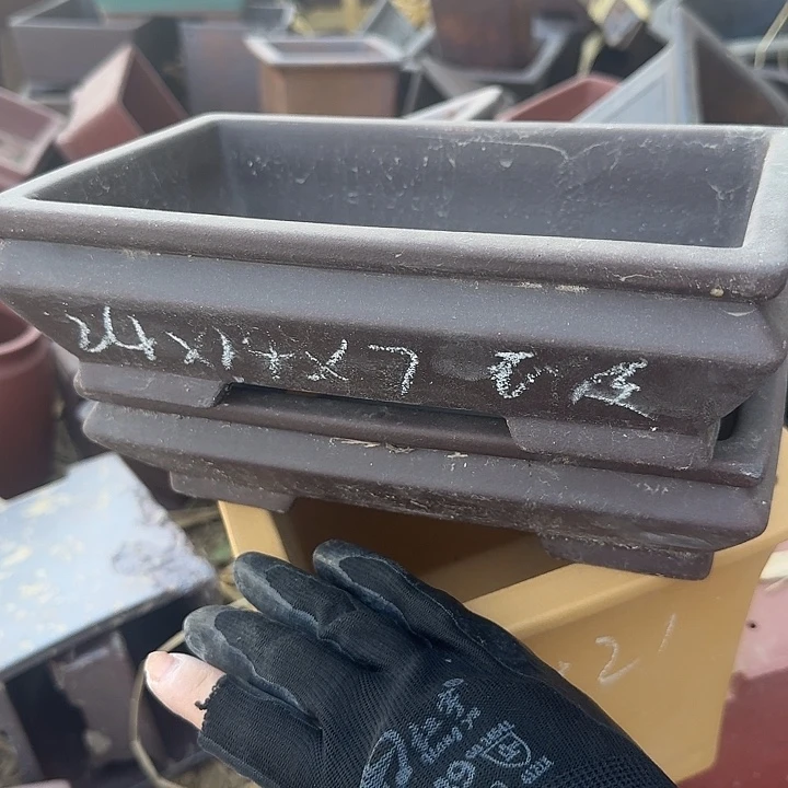 紫砂的地方尴尬哈哈哈