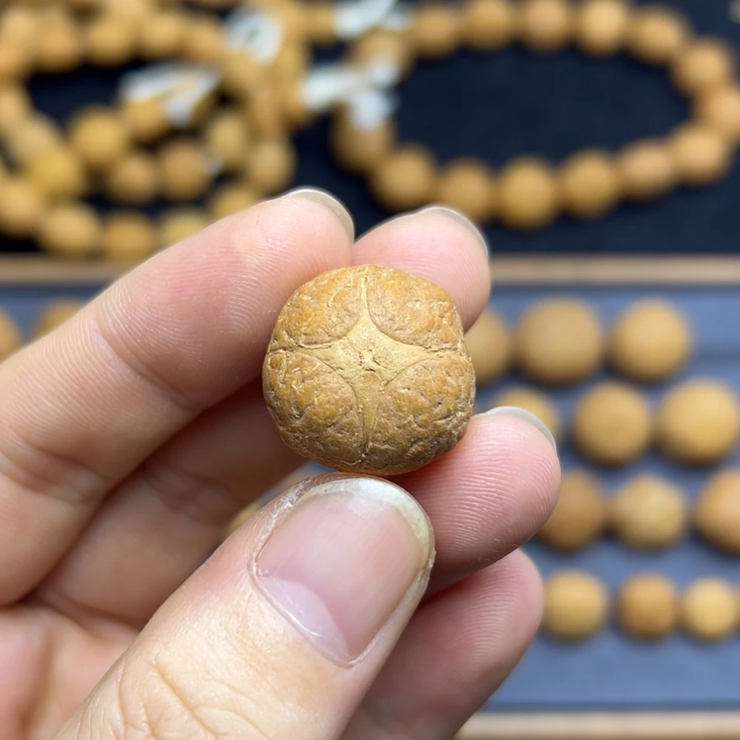 手串凤眼菩提21.8麒麟眼