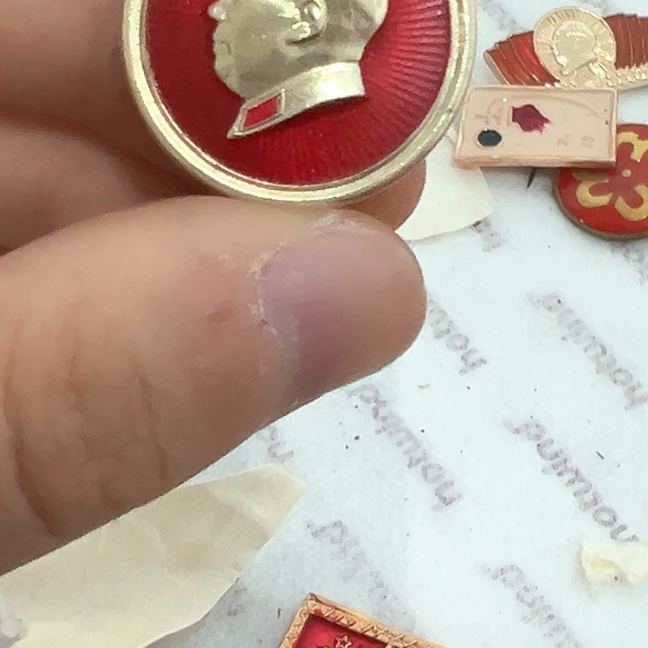 花****开一一一一一一一一一