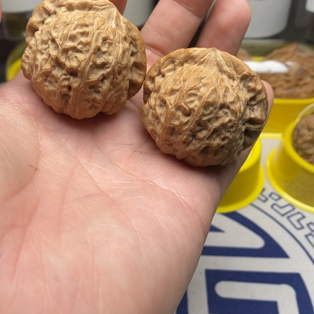 核桃把件阿*南瓜墩龟