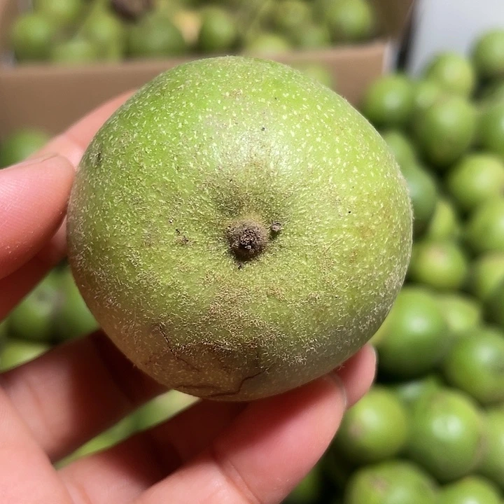 文玩核桃把件盘山10个